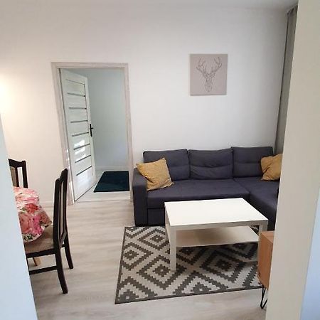 Apartament Na Kochanowskiego Stary Toruń エクステリア 写真
