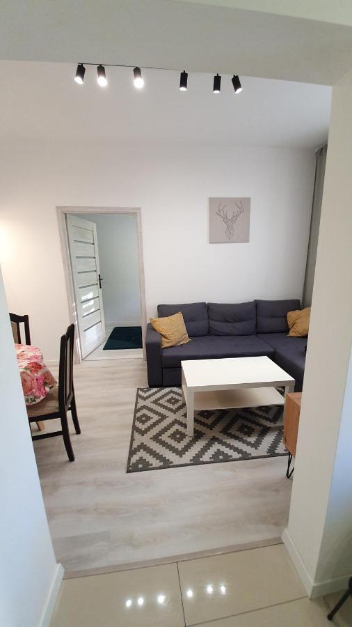 Apartament Na Kochanowskiego Stary Toruń エクステリア 写真