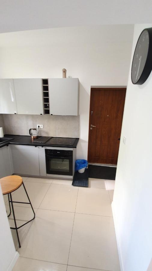 Apartament Na Kochanowskiego Stary Toruń エクステリア 写真